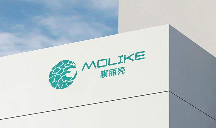 深圳市小柠檬品牌管理集团有限公司